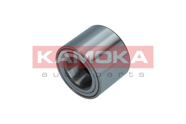Wheel Bearing Kit - 5600170 KAMOKA