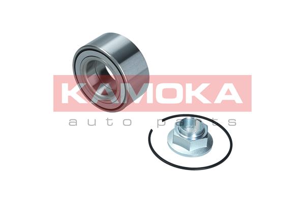 Wheel Bearing Kit - 5600179 KAMOKA