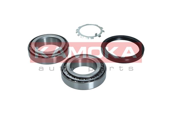 Wheel Bearing Kit - 5600191 KAMOKA