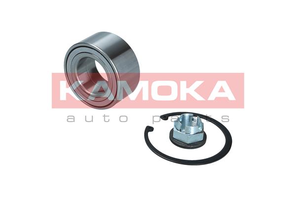Комплект подшипника ступицы колеса - 5600217 KAMOKA