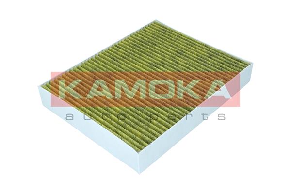 Filter, interior air - 6080060 KAMOKA