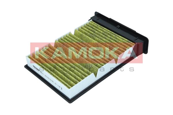 Filter, interior air - 6080121 KAMOKA