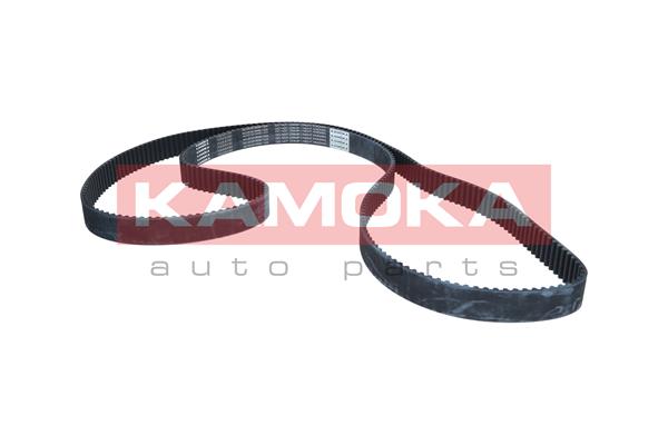Cinghia dentata - 7000032 KAMOKA