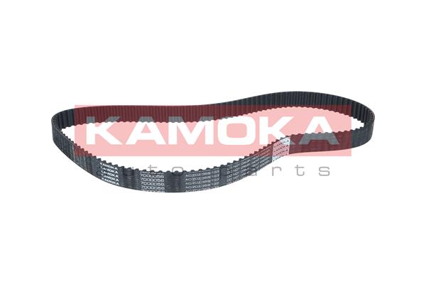 Cinghia dentata - 7000056 KAMOKA