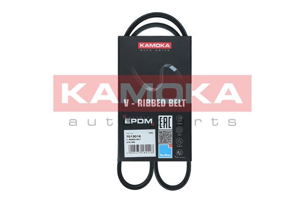 Cinghia Poly-V - 7013016 KAMOKA