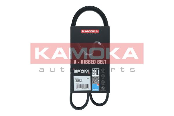 Cinghia Poly-V - 7013019 KAMOKA