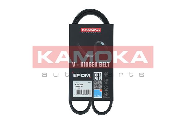 Cinghia Poly-V - 7014036 KAMOKA