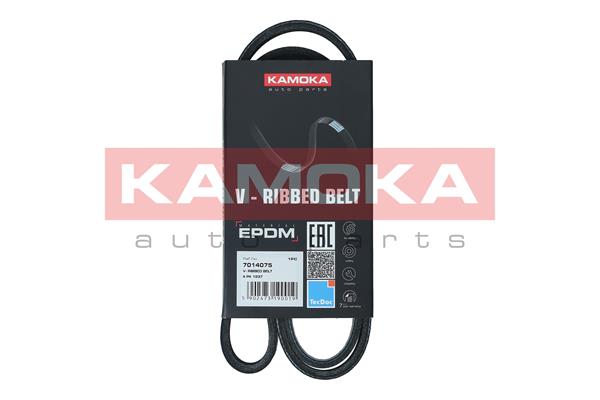 Cinghia Poly-V - 7014075 KAMOKA