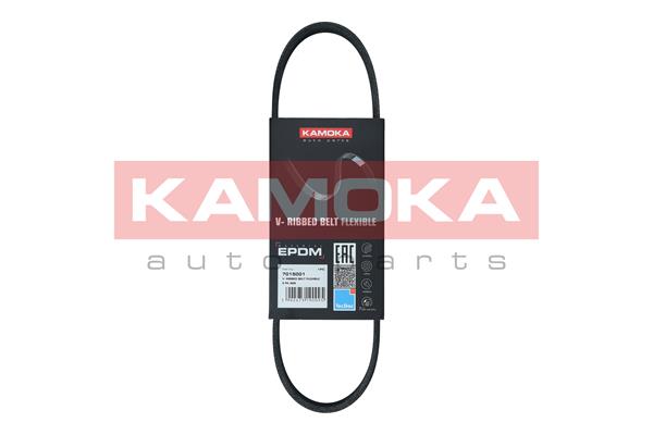 Cinghia Poly-V - 7015001 KAMOKA