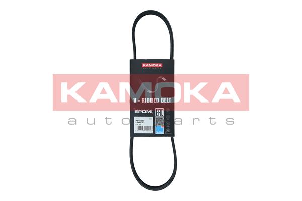 Cinghia Poly-V - 7015007 KAMOKA