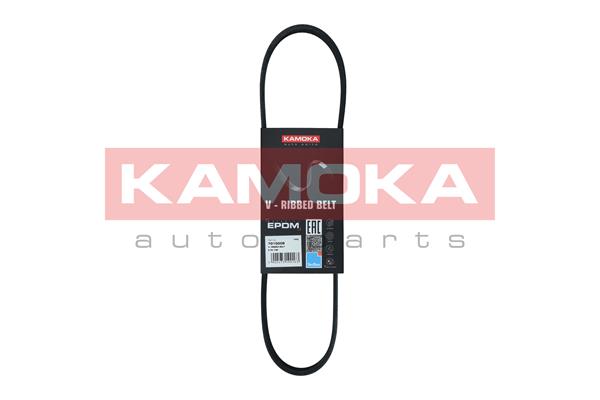 Cinghia Poly-V - 7015008 KAMOKA