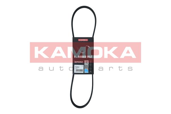 Cinghia Poly-V - 7015012 KAMOKA