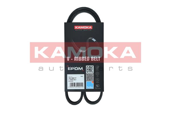 Cinghia Poly-V - 7015017 KAMOKA