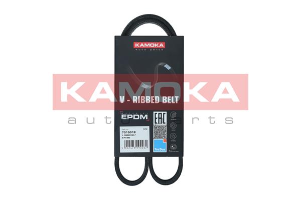 Cinghia Poly-V - 7015018 KAMOKA