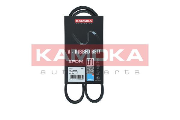 V-Ribbed Belt - 7015019 KAMOKA