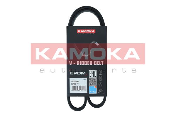 Cinghia Poly-V - 7015022 KAMOKA