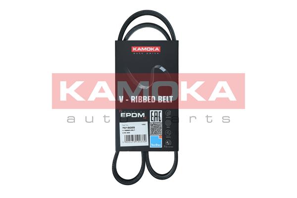 V-Ribbed Belt - 7015025 KAMOKA