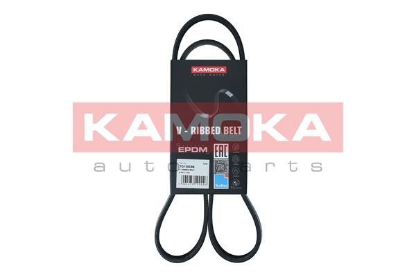 Cinghia Poly-V - 7015036 KAMOKA