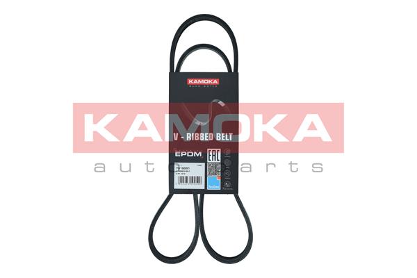 V-Ribbed Belt - 7015051 KAMOKA