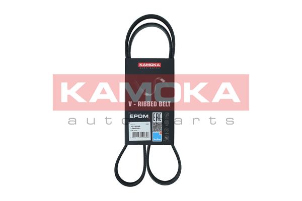 V-Ribbed Belt - 7015052 KAMOKA