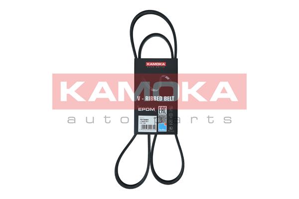 Cinghia Poly-V - 7015064 KAMOKA