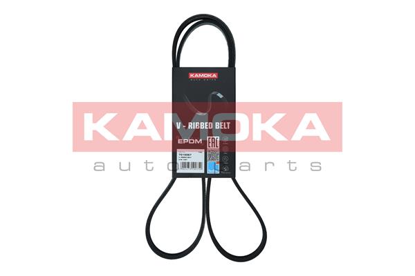 Cinghia Poly-V - 7015067 KAMOKA