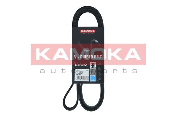 V-Ribbed Belt - 7015075 KAMOKA