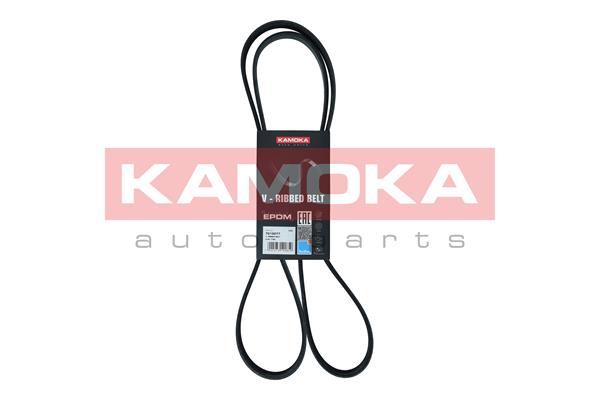 V-Ribbed Belt - 7015077 KAMOKA