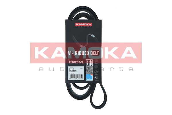 V-Ribbed Belt - 7015080 KAMOKA