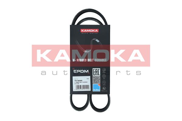 V-Ribbed Belt - 7016020 KAMOKA