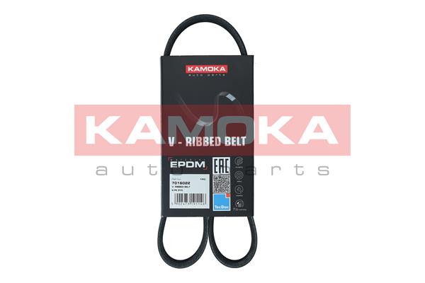 V-Ribbed Belt - 7016022 KAMOKA