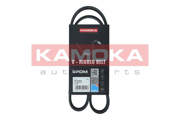 Cinghia Poly-V - 7016023 KAMOKA