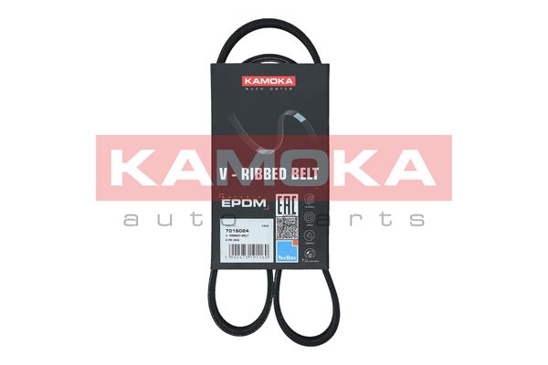 V-Ribbed Belt - 7016024 KAMOKA