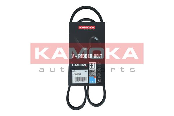 Cinghia Poly-V - 7016025 KAMOKA