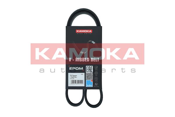 V-Ribbed Belt - 7016027 KAMOKA