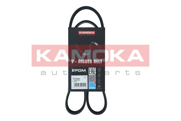 V-Ribbed Belt - 7016029 KAMOKA
