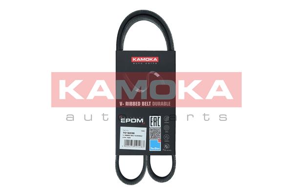 V-Ribbed Belt - 7016036 KAMOKA