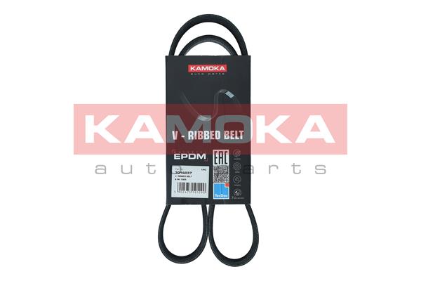 V-Ribbed Belt - 7016037 KAMOKA