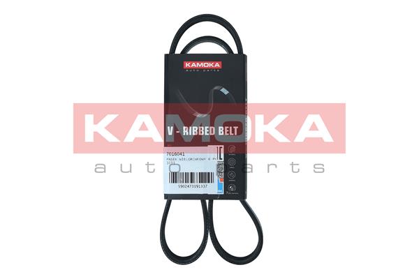 Cinghia Poly-V - 7016041 KAMOKA