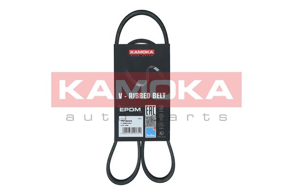 Cinghia Poly-V - 7016043 KAMOKA