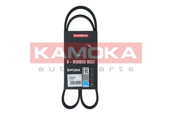 Cinghia Poly-V - 7016050 KAMOKA