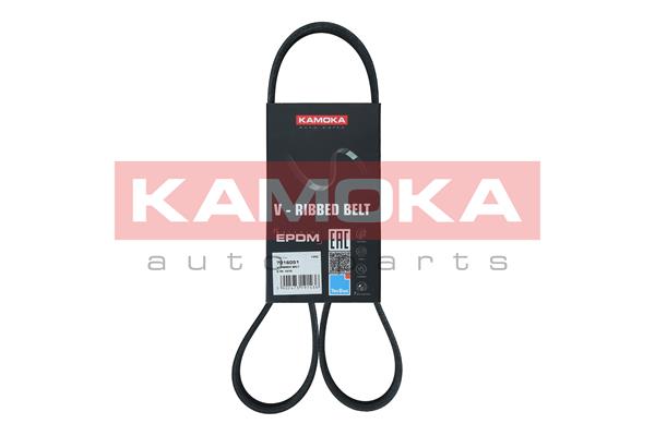 Cinghia Poly-V - 7016051 KAMOKA