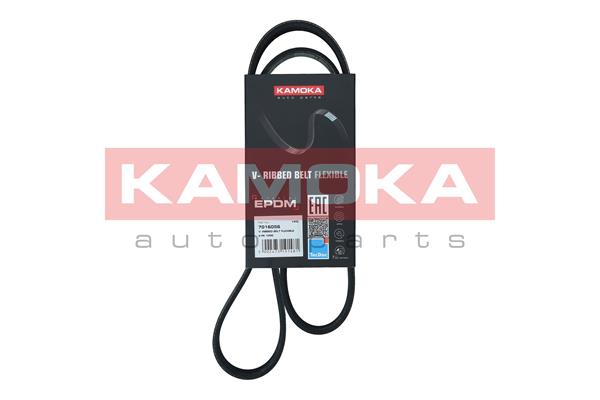 V-Ribbed Belt - 7016056 KAMOKA