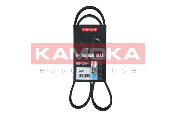 V-Ribbed Belt - 7016059 KAMOKA