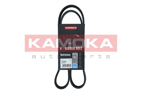 Cinghia Poly-V - 7016061 KAMOKA