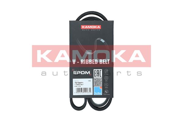 Cinghia Poly-V - 7016071 KAMOKA