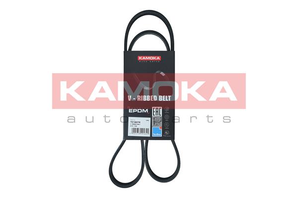 Cinghia Poly-V - 7016072 KAMOKA