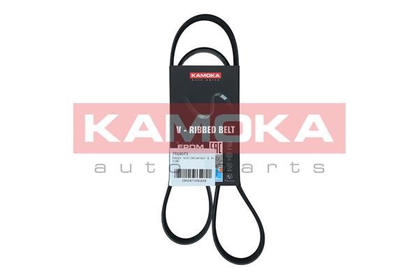 V-Ribbed Belt - 7016073 KAMOKA