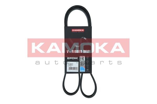 Cinghia Poly-V - 7016077 KAMOKA