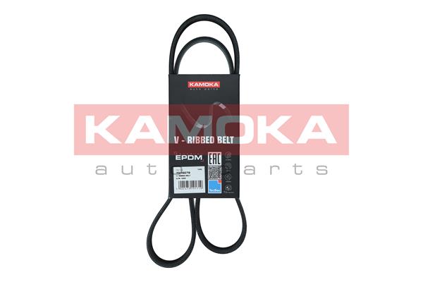 Cinghia Poly-V - 7016079 KAMOKA